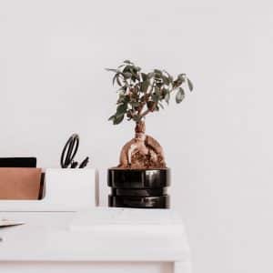 Loving Lately & ABC's The Bachelor Week 4 Recap - The Confused Millennial Lifestyle Blog