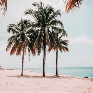 Millennial blog recap of week 8 of ABC's The Bachelor plus other things she is loving lately - The Confused Millennial