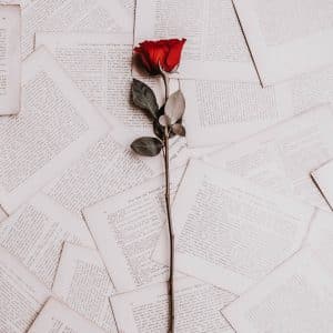 Recap of ABC's The Bachelor Nick's Recap from millennial blogger The Confused Millennial